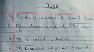 10 lines Essay on Duck 🦆 || Duck Essay in English || Few lines about Duck