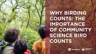 Why Birding Counts: The Importance of Community Science Bird Counts