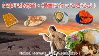 🚗[Vlog] さんまおみくじ引いて、鹿に遭遇する根室旅Vlog 〜先輩たちの優しさと根室の景色に癒されて〜🐟🦌