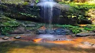 South Lawson Waterfall Circuit, Blue Mountains, Sydney, Australia