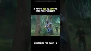 The army kept this stray dog ​​with them #shorts