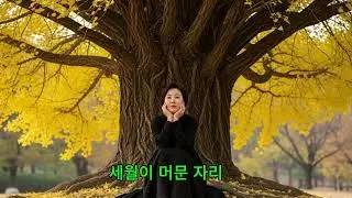 세월이 머문 자리