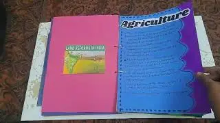 Indian Economy (1950-1990) | Economics Project | Class 11/12 | CBSE | Project With Nandini