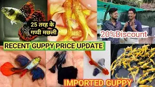 RAJU DADA KE IMPORTED GUPPY FISH FARM | RECENT PRICE UPDATE | SUPER QUALITY | DELIVERY AVAILABLE |