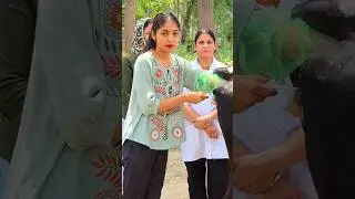 artificial insemination in cow | step by step AI process explained