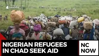 Nigerian Refugees in Chad Seek Economic Aid and Repatriation Efforts