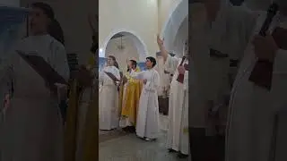 #igrejacatolicaapostolicaromana #novenadenossasenhora #santamissa #devocaomariana