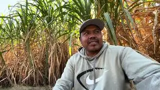 Si trabajas en el campo, tienes que tener esta herramienta 😱
