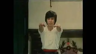 Tiger Crane Double Form Se (Fu Hok Seung Ying Kyun 虎鶴雙形拳), lineage of Grandmaster Chan Hon-chung 陳漢宗