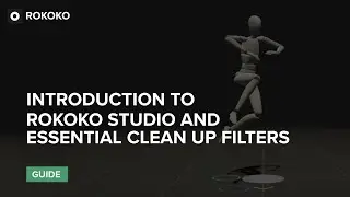 Руководство по Rokoko: Введение в Rokoko Studio и основные фильтры (перемещение, цикл, беговая до...