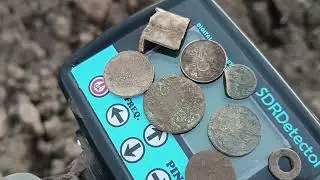 Коп з металошукачем SDR Detector