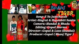 Bhanj tiger