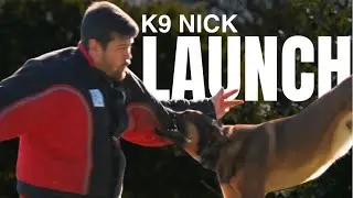 K9 Nick Launches Through the Air to Take Down the Bad Guy | Elite Family Protection Dog