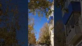 Осенняя прогулка по Кургану😍 Октябрь 2025🍁 #россия #курган #осень #autumn #russia #city #город