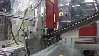 Insert Molding Automated Work Cell