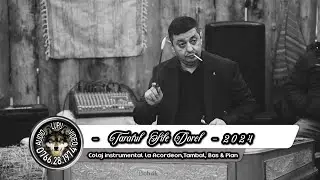 Taraful Sile Dorel - 1 - Colaj instrumental la Acordeon, Tambal, Bas, Pian & Vioara 2024