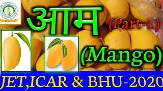 आम | Mango | part-1 | agriculture (horticulture) online classes 2020 (JET 2020) jet,icar & bhu 2020