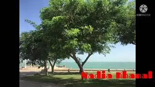 Nature Lover | Nadia  | Pinoy OFW in Kuwait