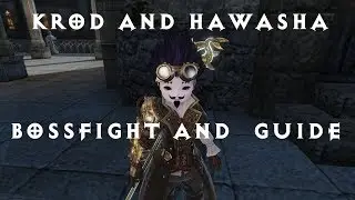 [Bless Online] Patala Ruins. Krod and Hawasha. Tactics and Mage PoV