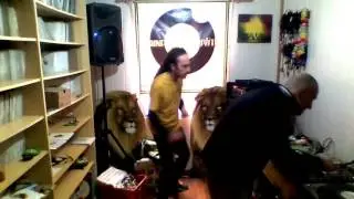 One Shot A Day 87 - Jah Jah New Garden Riddm