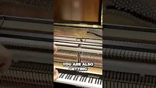 What Makes European Pianos Superior