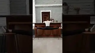 Chair Split Challenge #shorts #split
