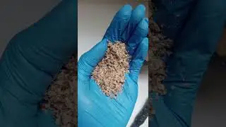 most satisfying chocolate crush  #satisfying #asmr #shorts #chocolate