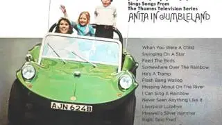 Jumbleland - Anita Harris