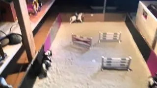 Nowości w stajni schleich 💜