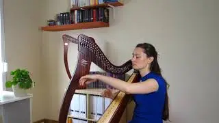 Evacuee (Enya) on my lever harp!