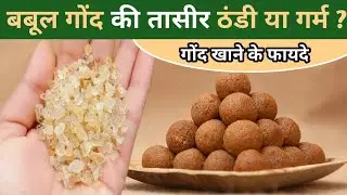 Babool Gond Ki Taseer | बबूल गोंद की तासीर गर्म हैं या ठंडी | गोंद के फायदे | Acacia Gum Benefits