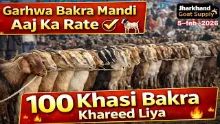 Aaj Garhwa Bakra Mandi Me Dhamaka | 100 Khasi Bakra Purchase | Live Mandi Vlog💕😱