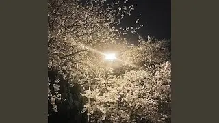 Shisha wa kotoba ga nai