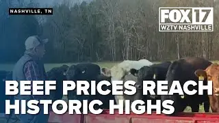 Tennessee farmers struggle as beef prices reach historic highs