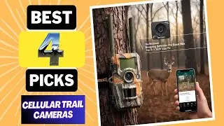 Don&rsquo;t Buy a Trail Camera Until You Watch This! 2025&rsquo;s Top 4 Picks