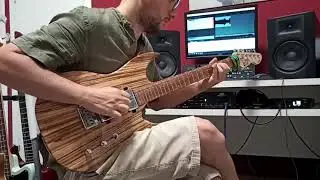 Panico Guitars custom pickup HB2CR