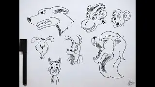Face Expressions of animals..