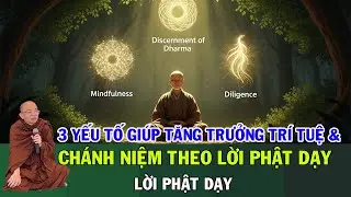 3 Yếu Tố Giúp Tăng Trưởng Trí Tuệ & Chánh Niệm Theo Lời Phật Dạy | Sư Giác Nguyên