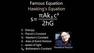 Beyond Hawking's Entropy: Black Holes as Spatial Induction Engines
