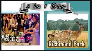 Clips from the wedding reception | Richmond Park London