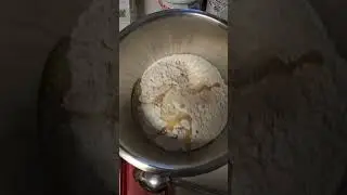 King Arthur Baking - Pull apart italian garlic bread cooking review