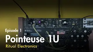 Pointeuse 1U - Bidirectional Analog Switch and Footswitch Adapter