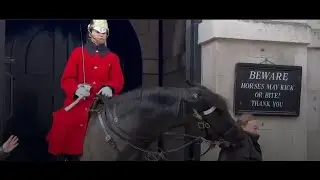 When Royal Guard Horse Bites Tourist for Not Respecting