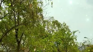 Absolute relaxation 🌿 LOFI meditation | Meditation music, stress reduction, natural asmr