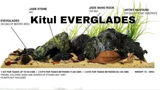 Ce sunt Kiturile de hardscape? (P1 Set complet decor acvariu, tip biotop Everglade de la WIO)