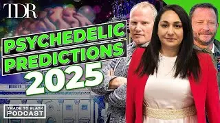 Psychedelic Lobbyist, Top Gun Fighter Pilot Predict Industry&nbsp;Trends&nbsp;2025 | Trade to Black