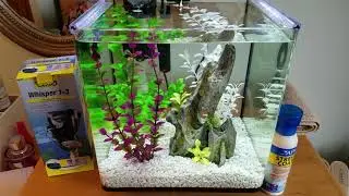 Treating Betta Fin Rot: Aquarium Salt & Stress Coat