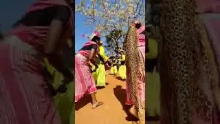 have you heard about Baiga Tribe?? #shorts #mp