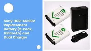 Sony HDR-AS100V Replacement Battery (2-Pack, 1600mAh) and Dual Charger