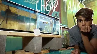 USED CRAIGSLIST FISH TANKS!!!